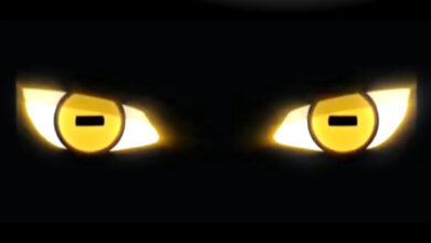 sharingan rinnegan twixto